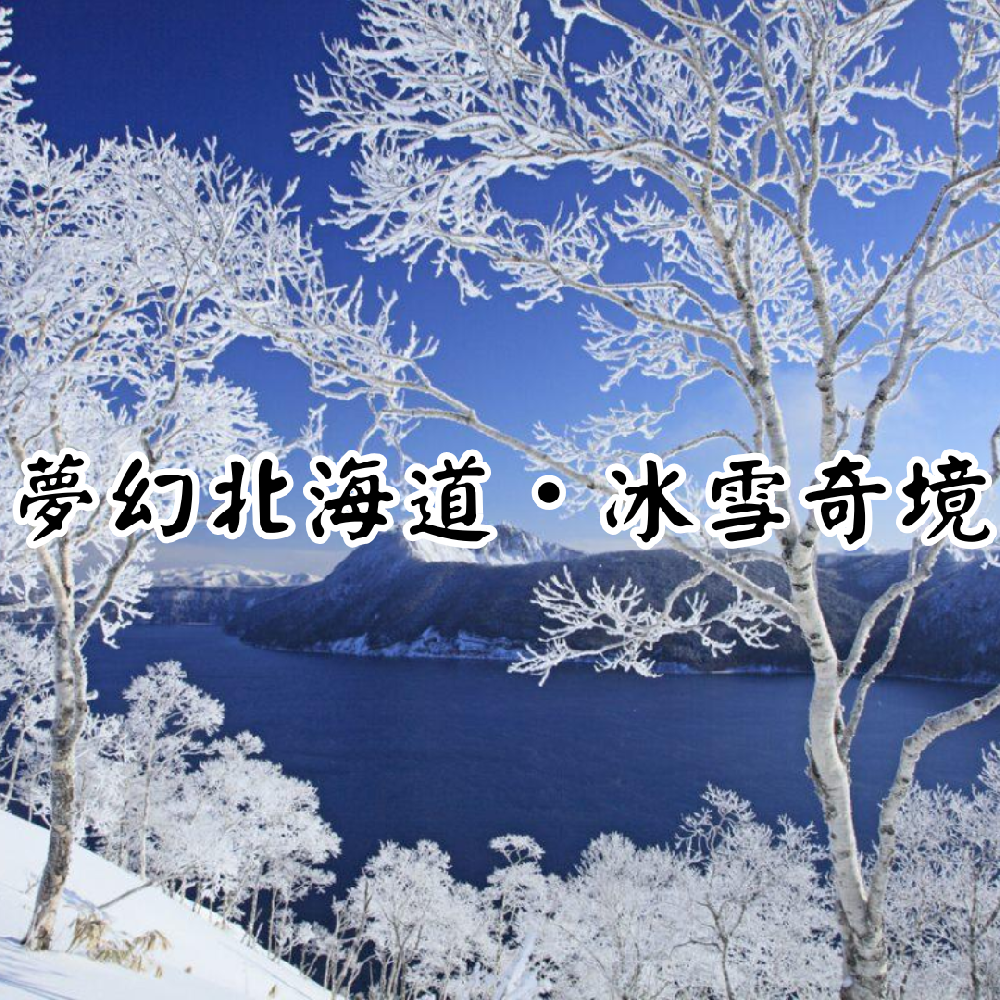 【夢幻北海道・冰雪奇境之旅】
