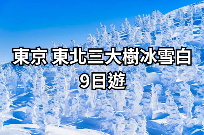 【東北三大樹冰9日遊】